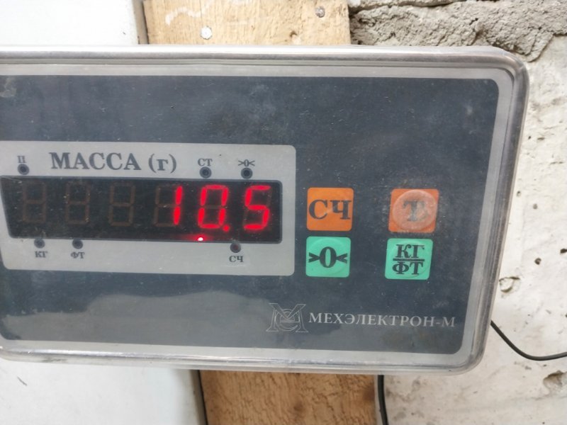 Защита картера