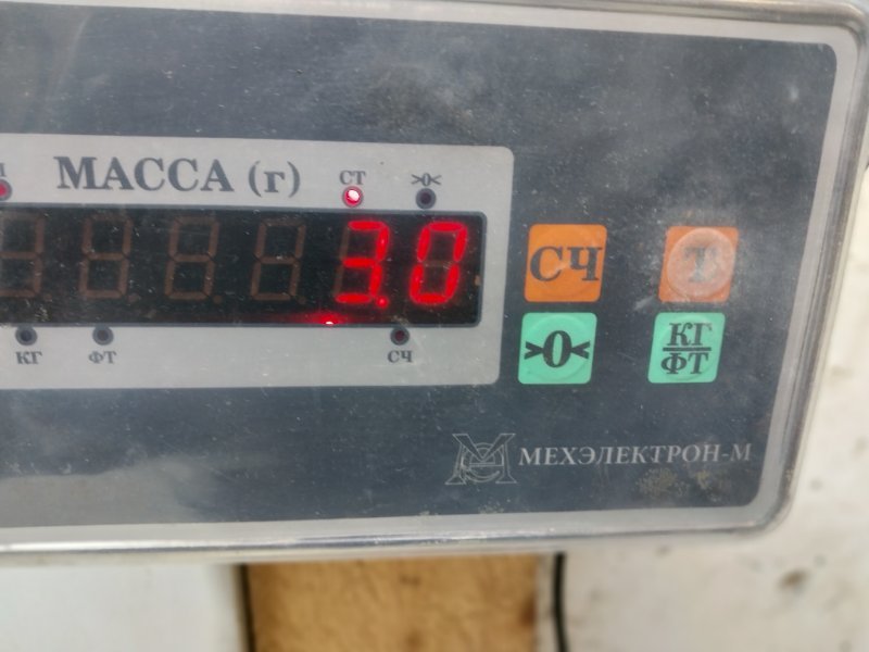 Обшивка двери