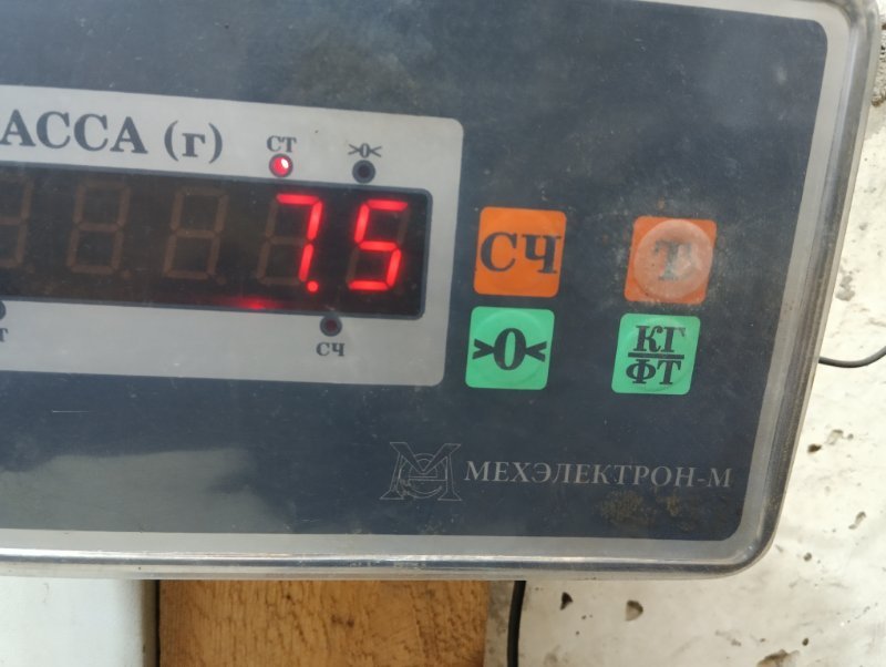 Бак топливный