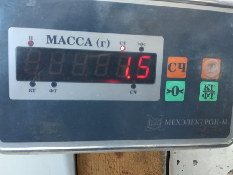 Панель передняя (телевизор)