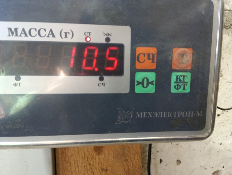 Защита