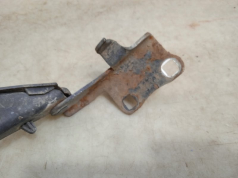 Петля капота правая