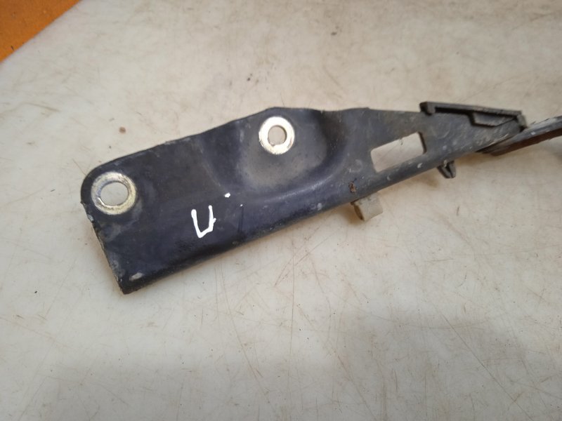 Петля капота правая