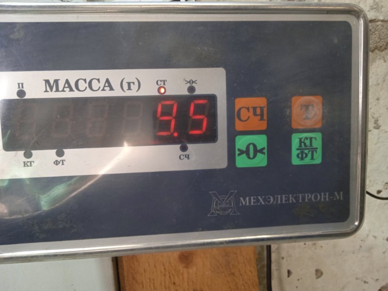 Амортизатор передний