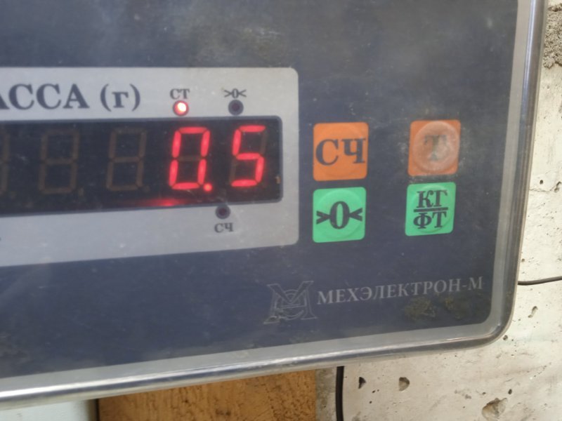 Петля двери передней правой нижняя