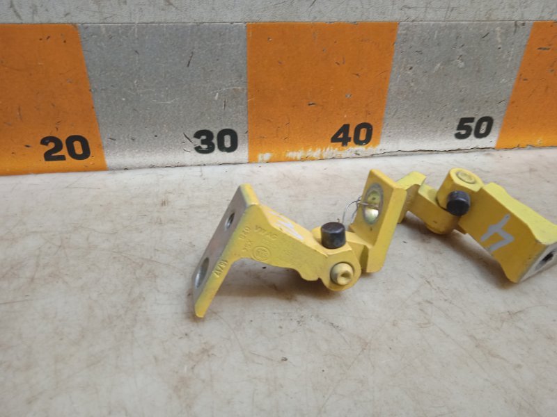 Петля двери передней правой нижняя