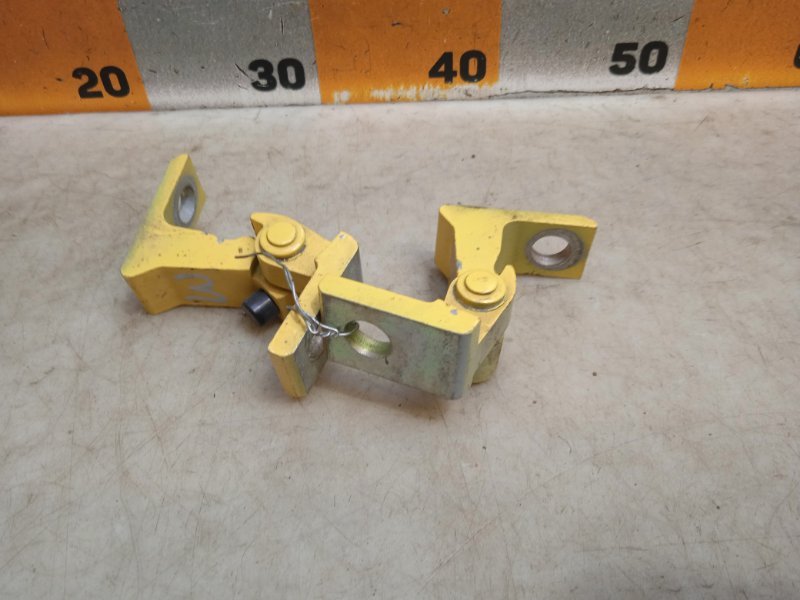 Петля двери передней правой нижняя