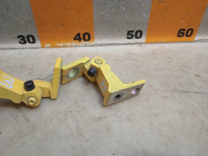 Петля двери передней правой нижняя