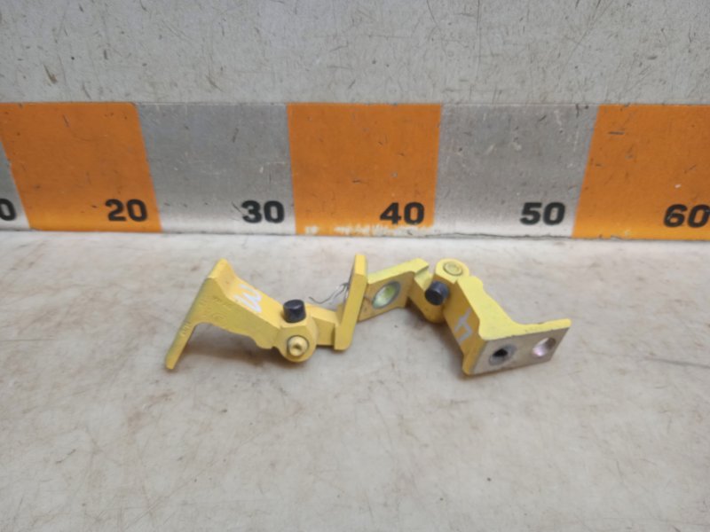 Петля двери передней правой нижняя