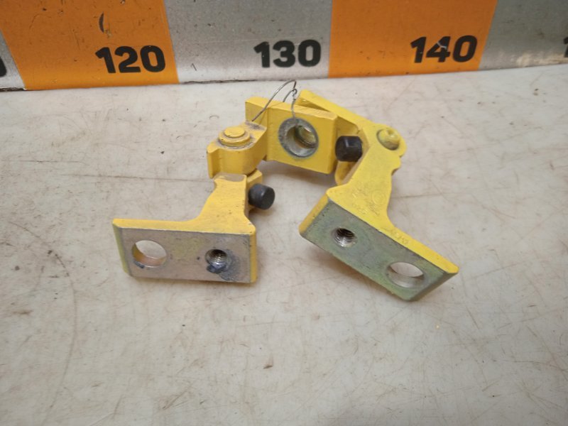 Петля двери передней правой нижняя