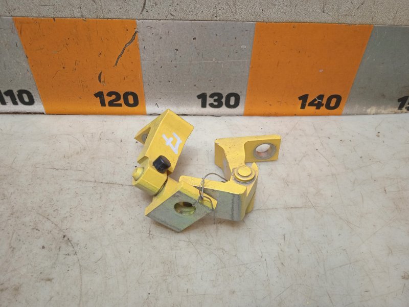 Петля двери передней правой нижняя