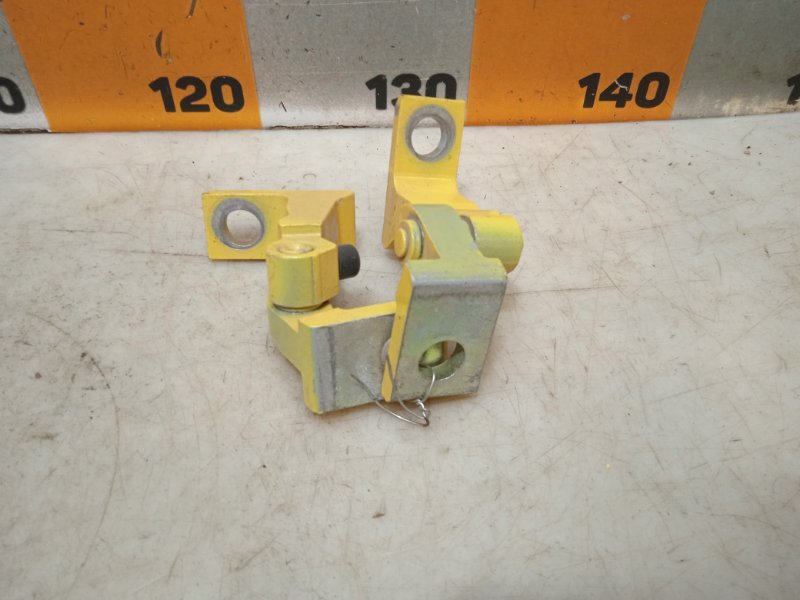 Петля двери передней правой нижняя