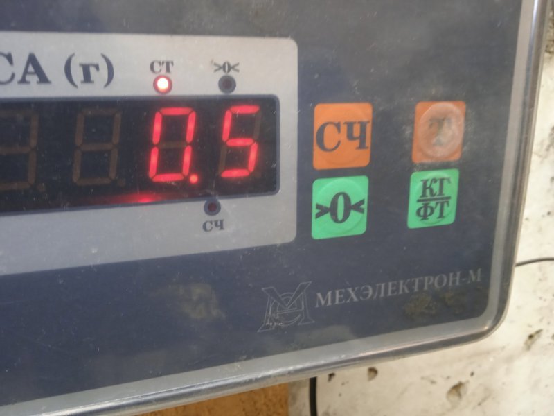 Петля двери передней правой нижняя