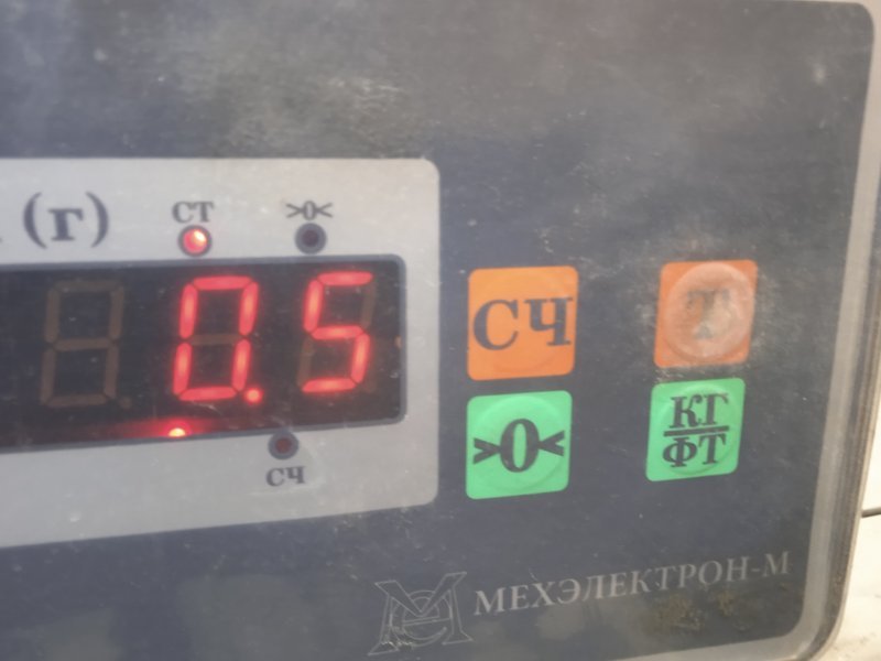 Петля двери передней правой нижняя