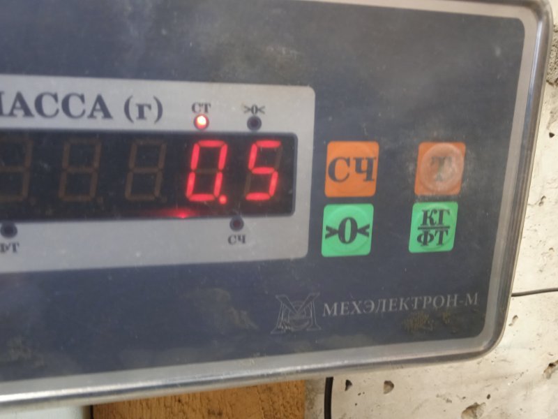 Петля двери передней левой нижняя