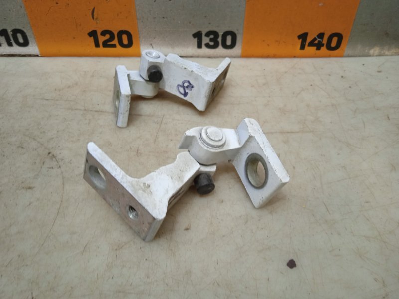 Петля двери передней правой нижняя