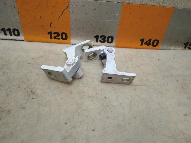 Петля двери передней правой нижняя