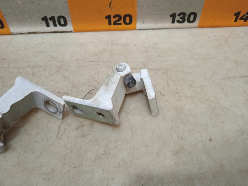 Петля двери передней правой нижняя