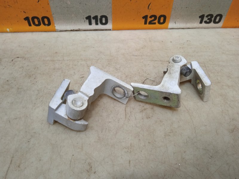 Петля двери передней правой нижняя