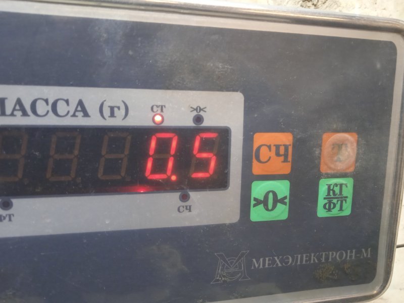 Петля двери передней правой нижняя