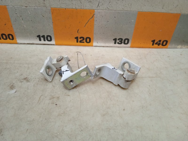 Петля двери передней правой нижняя