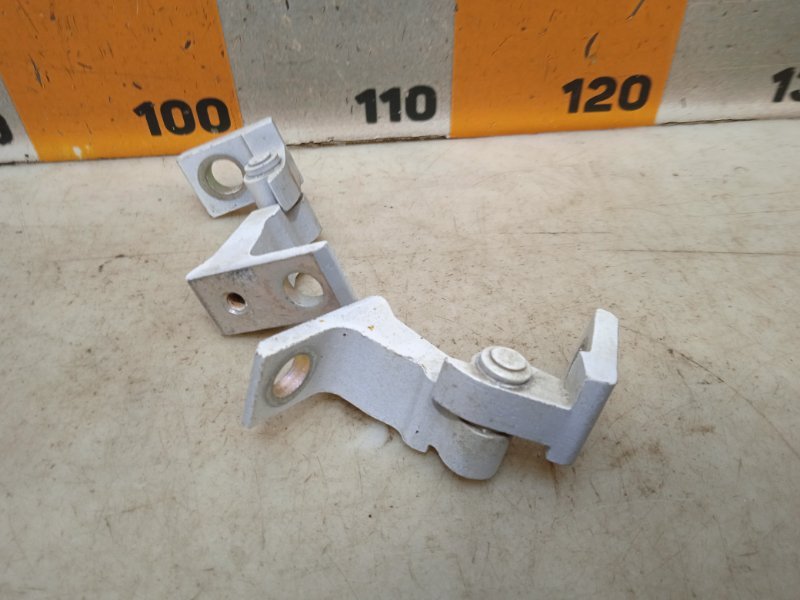 Петля двери передней правой нижняя