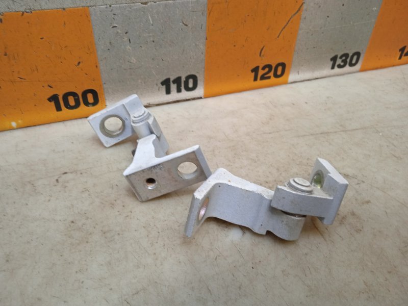 Петля двери передней правой нижняя