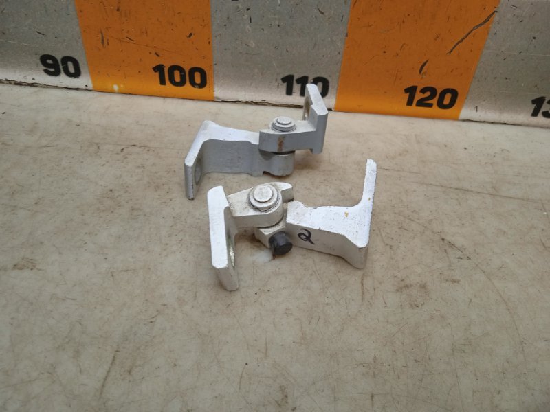 Петля двери передней правой нижняя