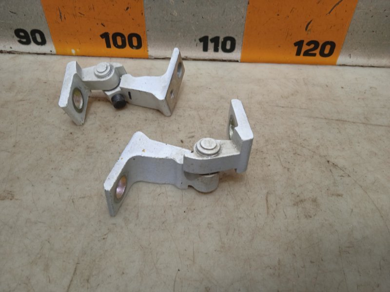 Петля двери передней правой нижняя