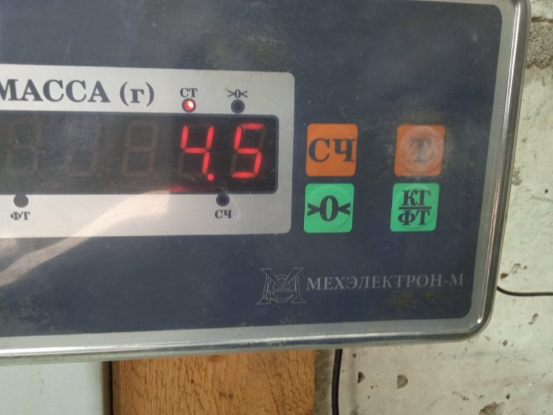 AP-0017534808 AP-0017534808