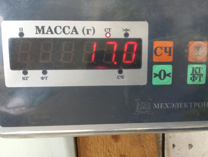 Бак топливный