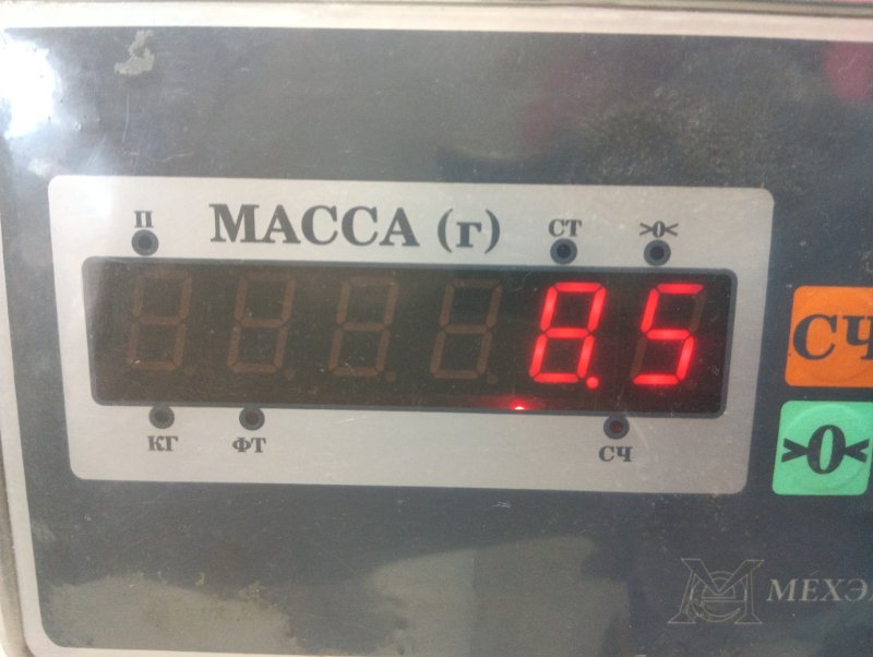 Торпедо
