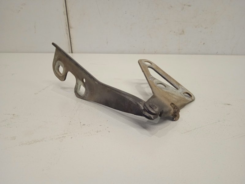 Петля капота правая