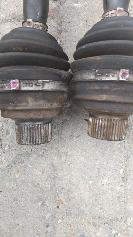 AP-0016569513 AP-0016569513