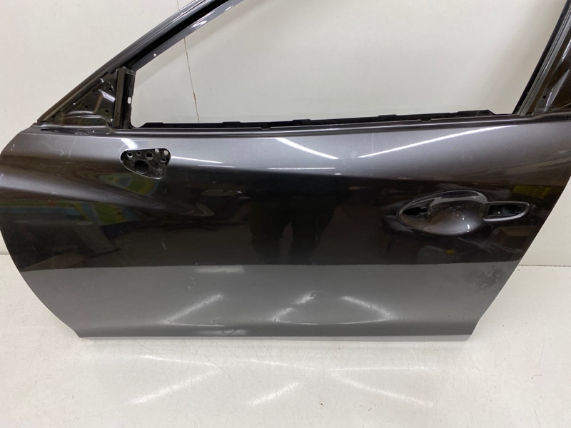 Дверь передняя левая