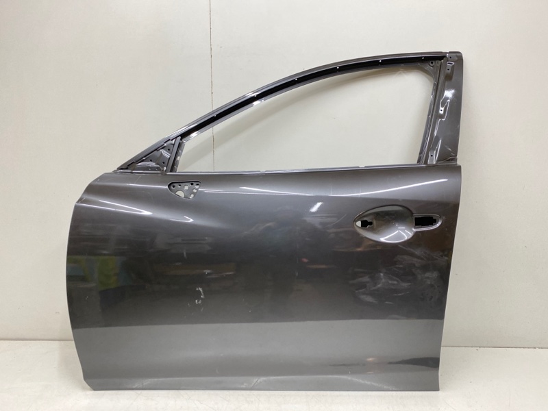 Дверь передняя левая