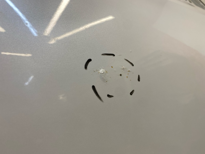 Дверь передняя правая