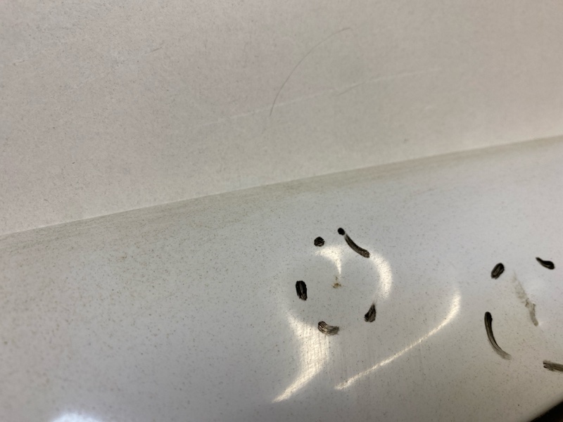 Дверь задняя левая