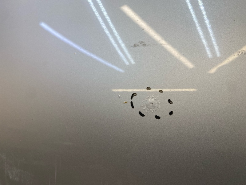 Дверь передняя левая