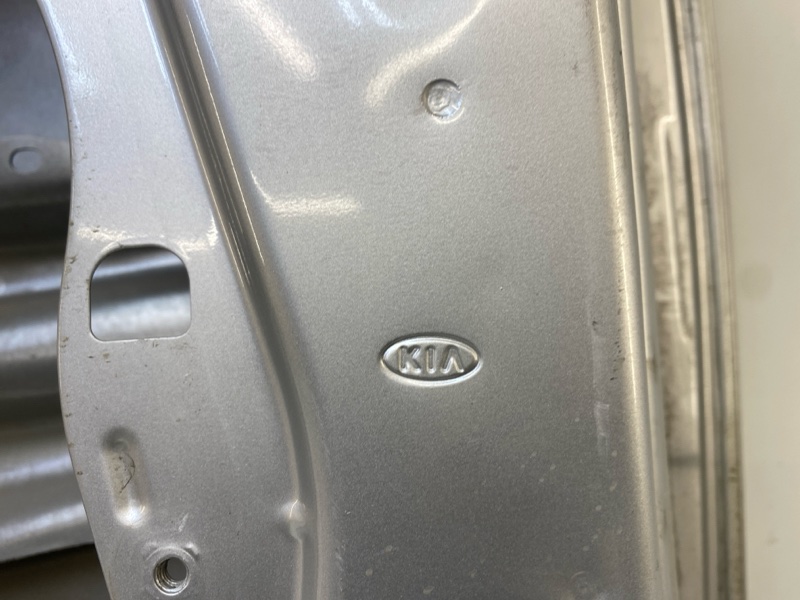 Дверь передняя левая