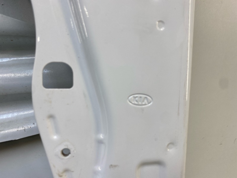 Дверь передняя левая