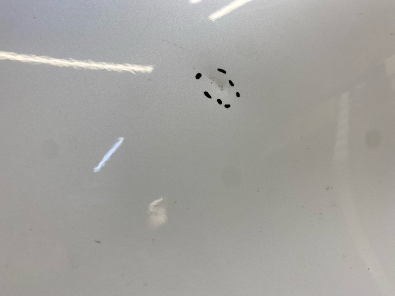 Дверь передняя левая