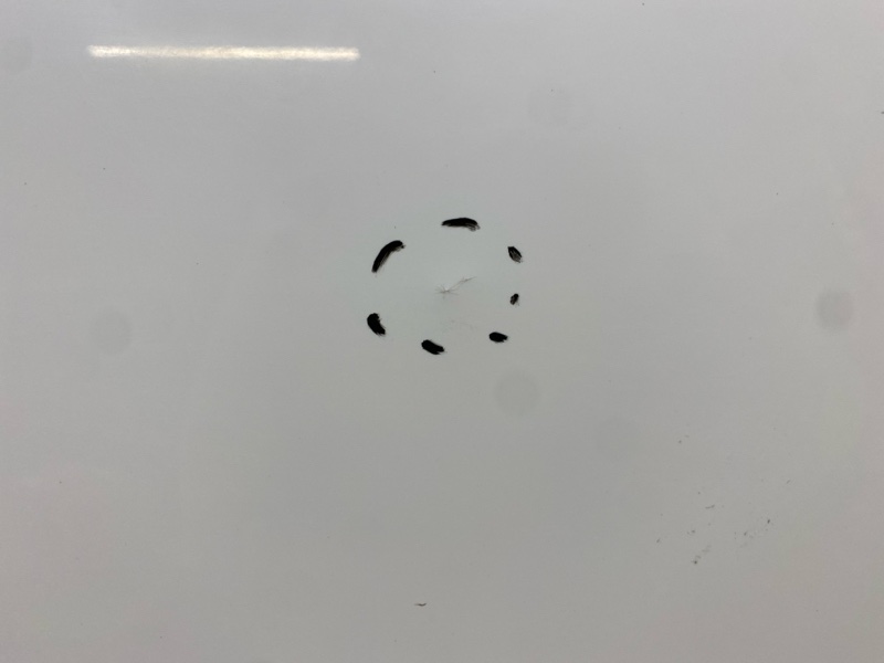 Дверь передняя левая