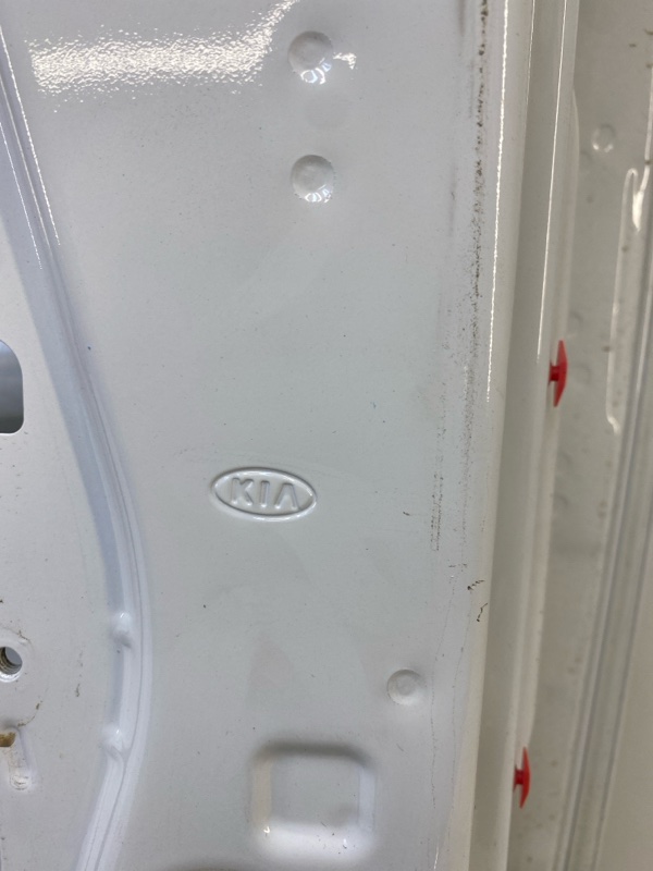 Дверь передняя левая