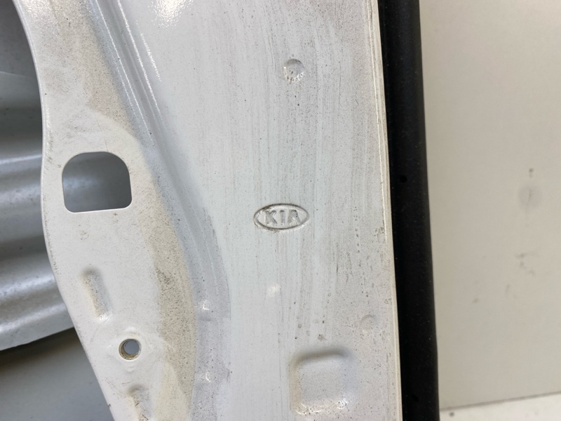 Дверь передняя левая