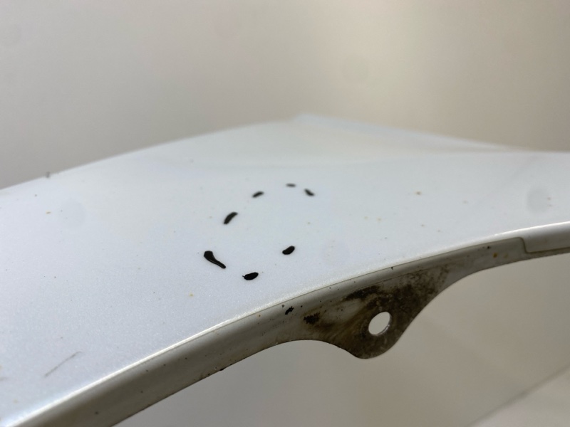 Крыло переднее правое