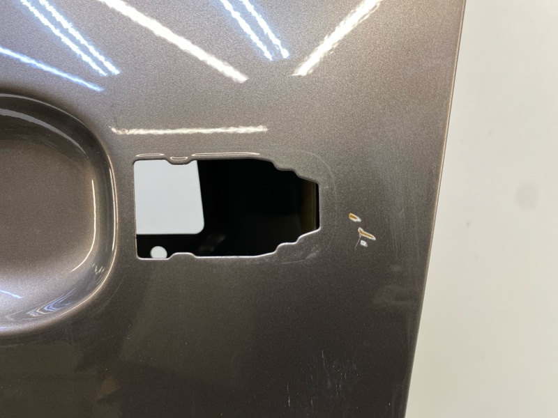 Дверь передняя левая