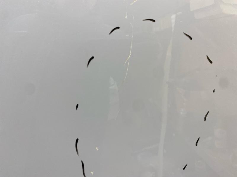 Дверь задняя правая