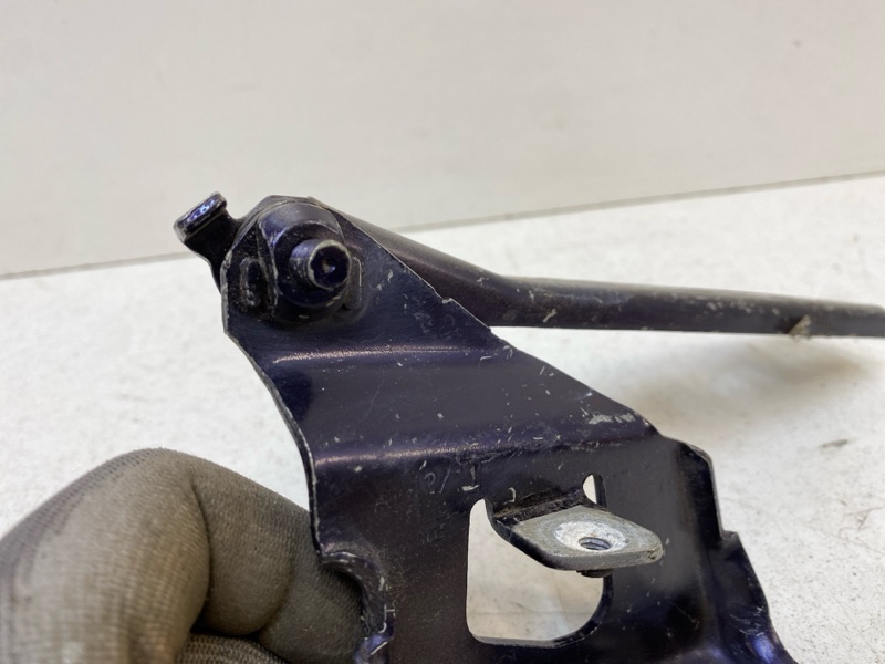 Петля капота правая