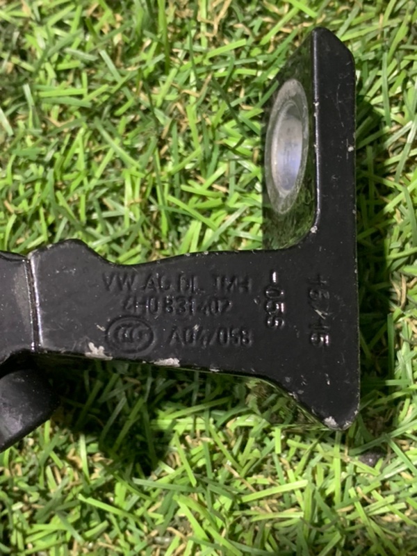 Петля двери передней правой нижняя